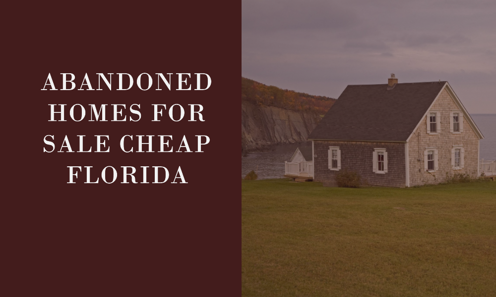 abandoned-homes-for-sale-cheap-in-florida-hagan-for-house