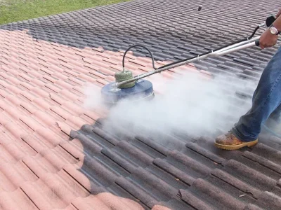 Roof Cleaning